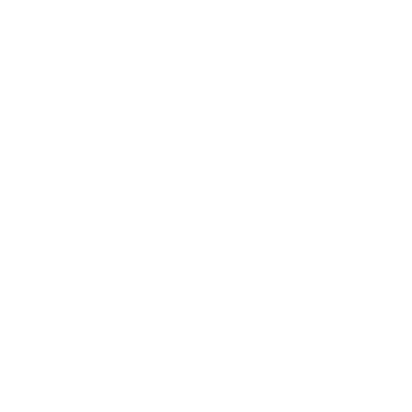 Santos logo