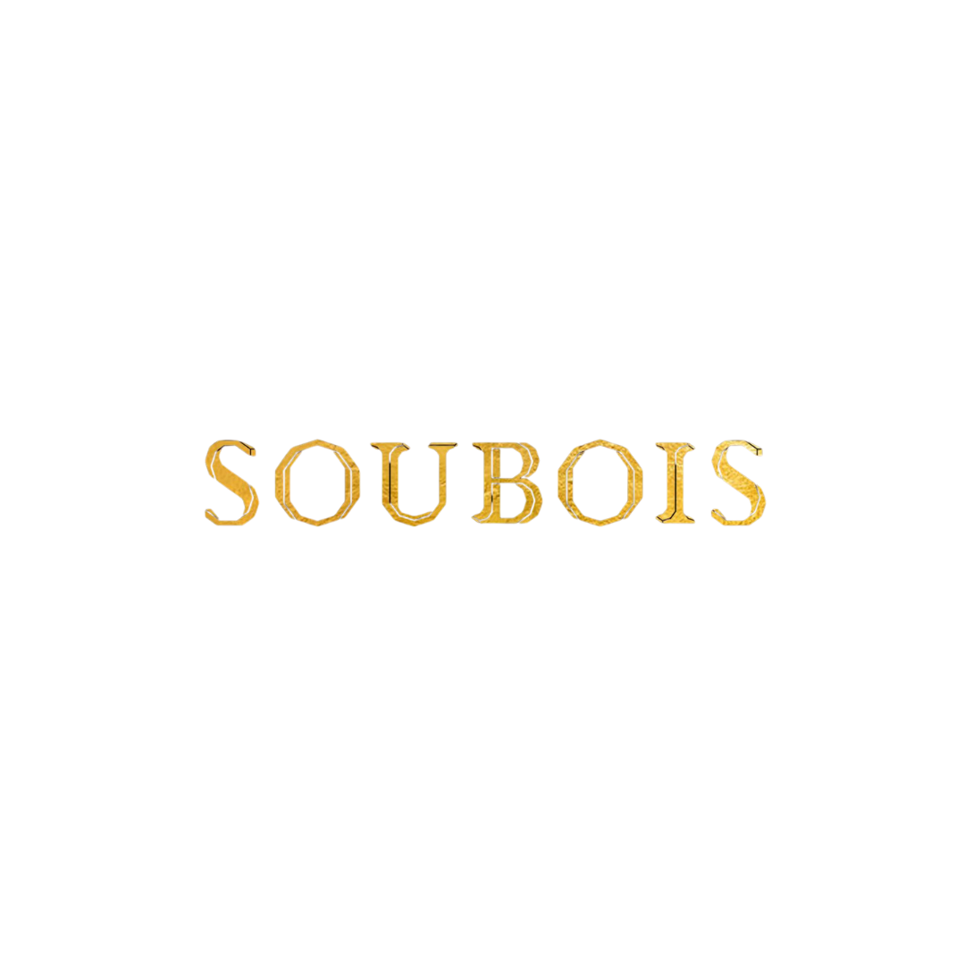 Soubois logo